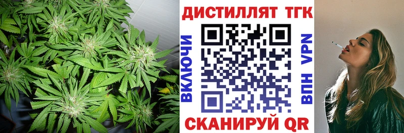закладка Щёлкино Дистиллят ТГК жижа